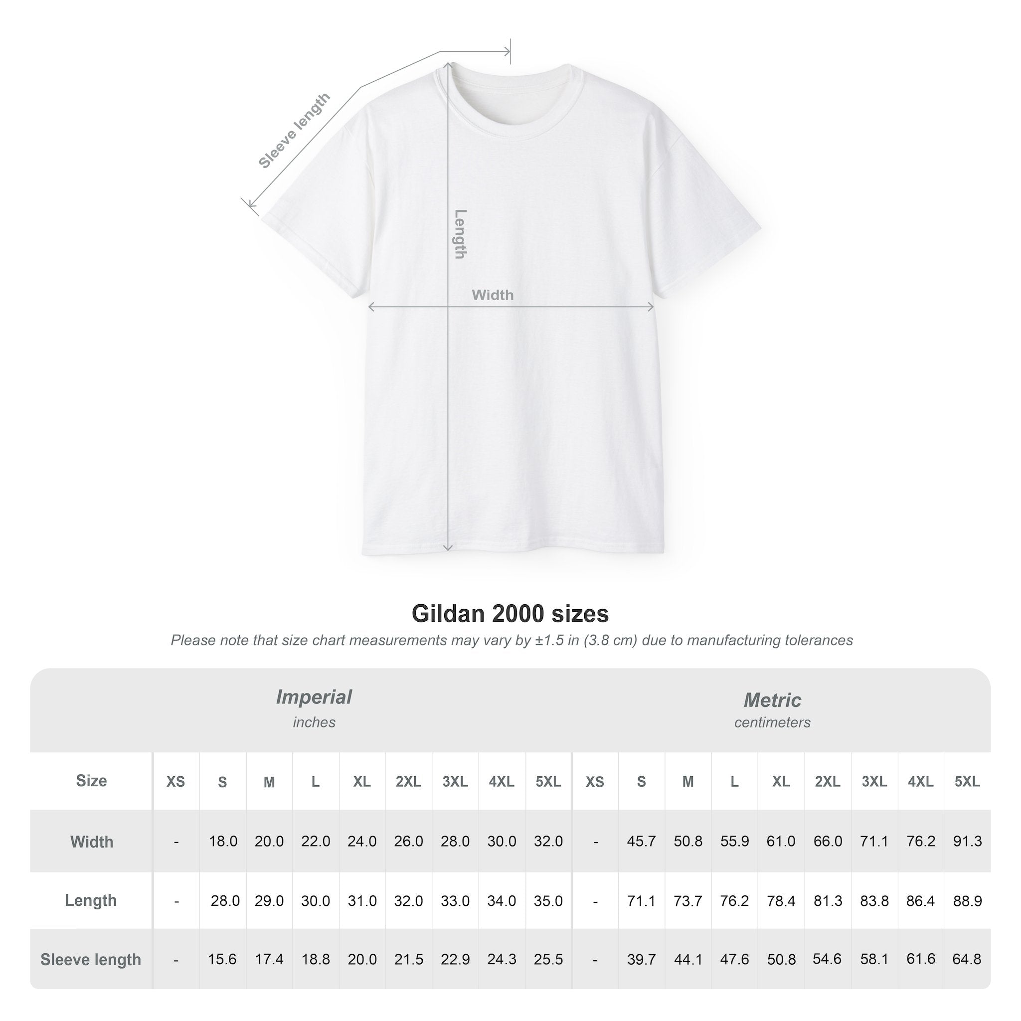 Rooted In Basic Cotton Tee